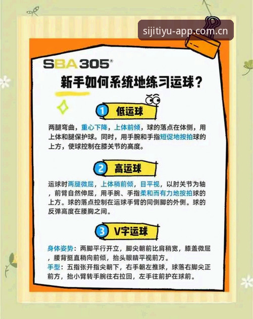 四季体育官网使用技巧全面解析：从新手到高手的进阶指南