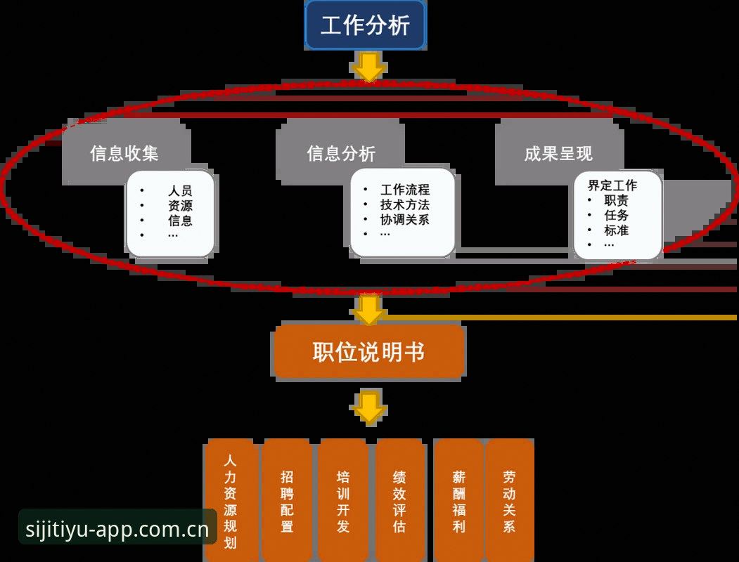 6个实用步骤解决四季体育分析下载不了的问题——从根源入手恢复使用体验